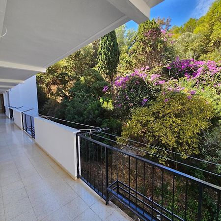 Apartamento Florido トレモリノス エクステリア 写真